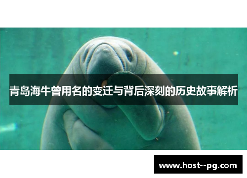 青岛海牛曾用名的变迁与背后深刻的历史故事解析